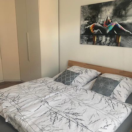 Grosse Moderne Ferienwohnung, Zentrale Ruhige Lage Kassel Dış mekan fotoğraf