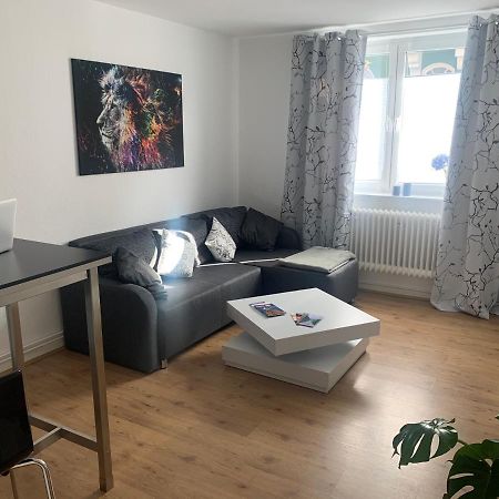 Grosse Moderne Ferienwohnung, Zentrale Ruhige Lage Kassel Dış mekan fotoğraf