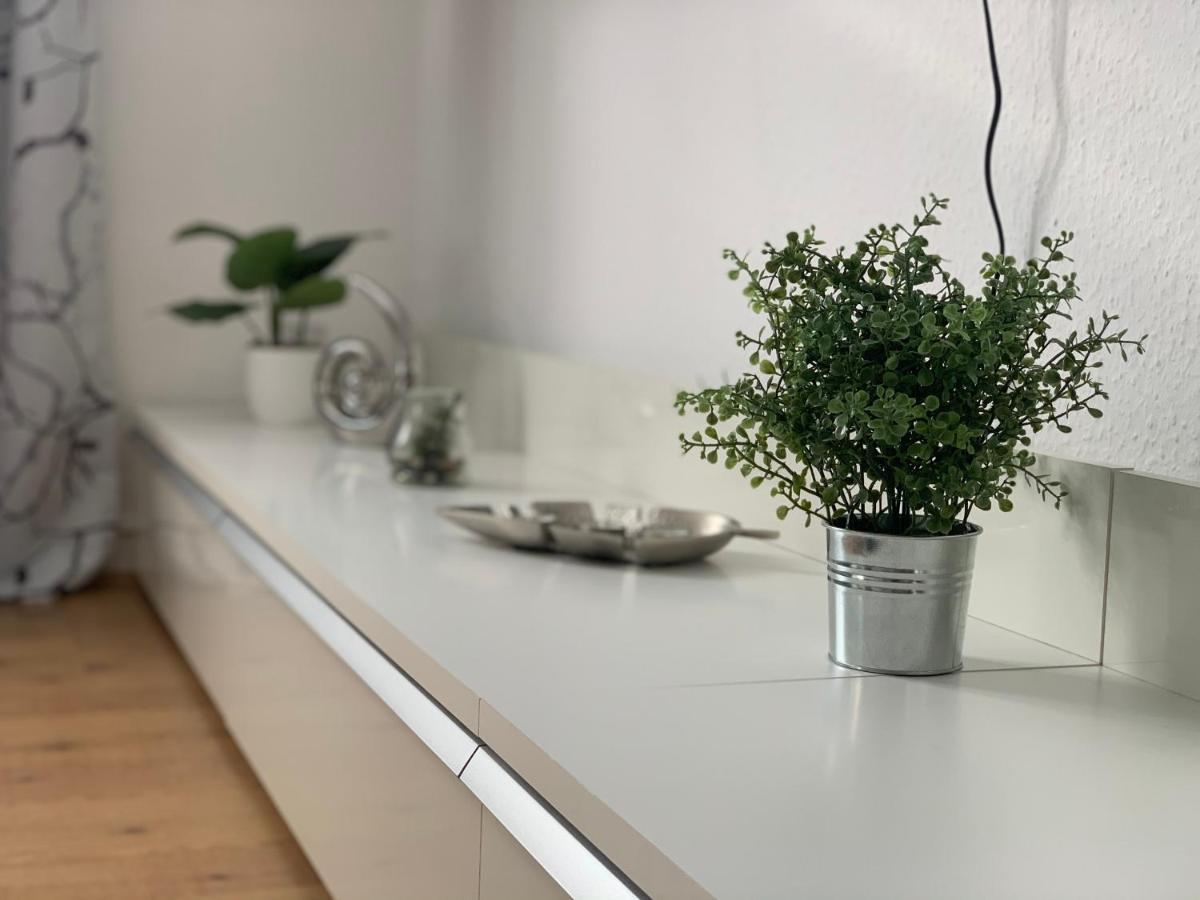 Grosse Moderne Ferienwohnung, Zentrale Ruhige Lage Kassel Dış mekan fotoğraf